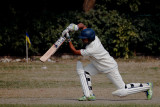 Cricket