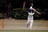 Cricket