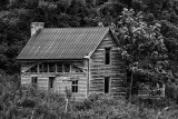 IMG_0443-Edit 8x12.jpg