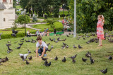 Chasing the pigeons.