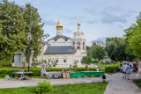 IMG_7859.jpg