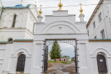 IMG_8861.jpg