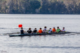 IMG_4155.jpg