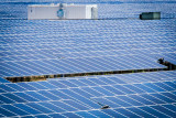 Webberville_30Mw_Solar_Manor_V2.jpg