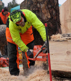 Carve Carrbridge 30th August 2014 006