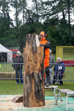 Carve Carrbridge 30th August 2014 014