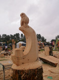 Carve Carrbridge 30th August 2014 074