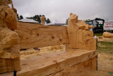 Carve Carrbridge 30th August 2014 086