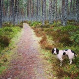 On her walk