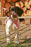 Prudence Eileins daughter