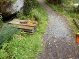 2016 Milford Track  - 143