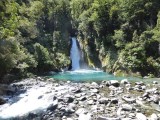 2016 Milford Track  - 310