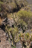 IMG_1699.JPG