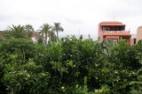 IMG_4095.JPG