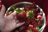 Sweet & Juicy!