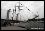 Armada2013-047.jpg