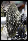 cycle2013-014.jpg