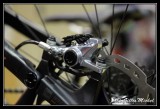 cycle2013-015.jpg