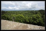 guate-tikal-143.jpg