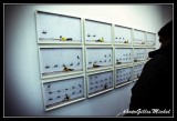Parisphoto2013-007.jpg