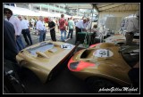 LMC2014paddock-0067.jpg