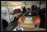 LMC2014paddock-0073.jpg