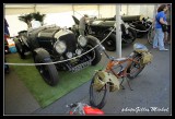 LMC2014paddock-0142.jpg