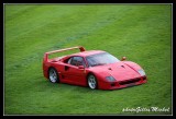 arts&elegance-865.jpg
