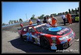 TMSnascar-520.jpg