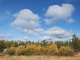 Big Sky Country