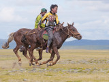 Nadaam Festival Horse Race in Northern Mongolia