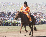 Nearing the End of the Race-Naadam Festival