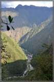 Rio Urubamba