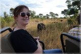 Up close to some buffalos 