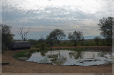 This water hole has some very poisonous snake living there