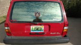 IMG_20161002_161858772.jpg