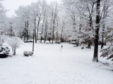 10dec2013_snow.jpg