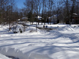 frontyard.jpg