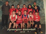 bulls16.jpg