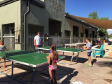 pingpong.jpg