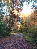 cvillecolors.jpg