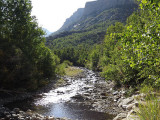 Lamoille Creek as seen in the Thomas Creek Campground