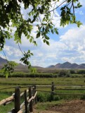 Pahsimeroi Valley Pastorale