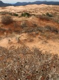 Long View to the Dunes