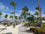 Aruba Palm beach 