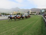 Port Louis Champ de Mars racecourse
