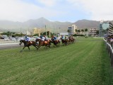 Port Louis Champ de Mars racecourse 