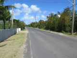 Anguilla walking across the island