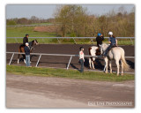 Training Track-Keeneland