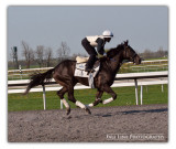 Main Track-Keeneland